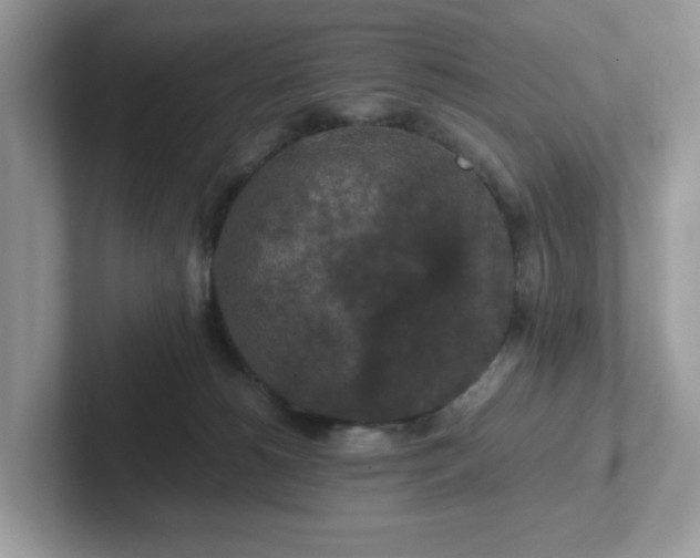 X0000101410180200807211103