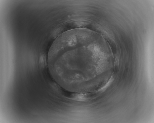 X0000101410182200807211103