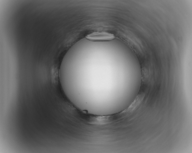 X0000101410184200807211103