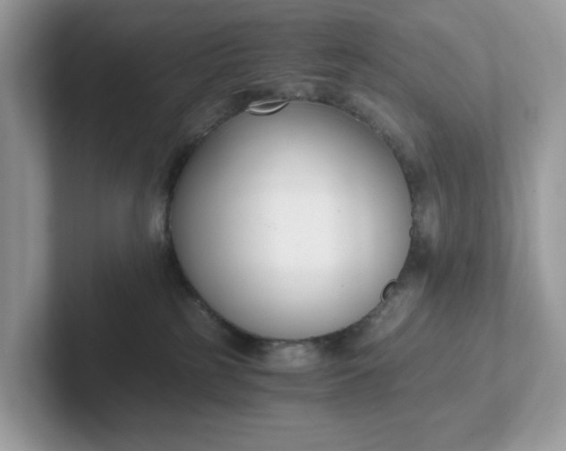 X0000101410185200807211103