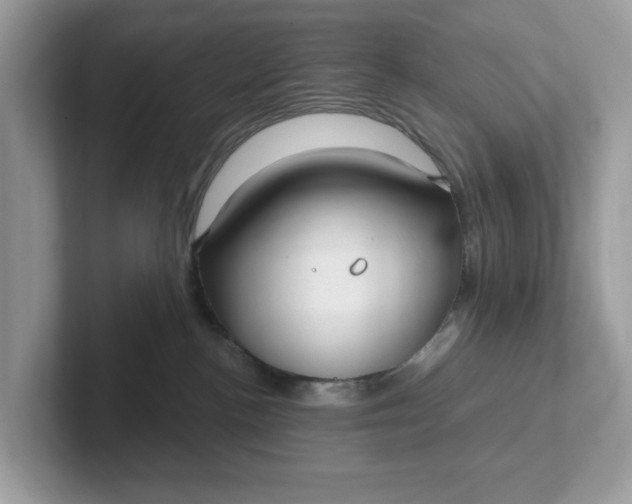 X0000101410188200807211103