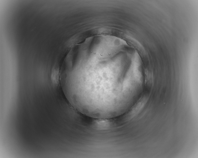 X0000101410189200807211103