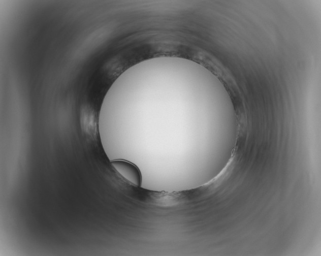 X0000101410191200807211103