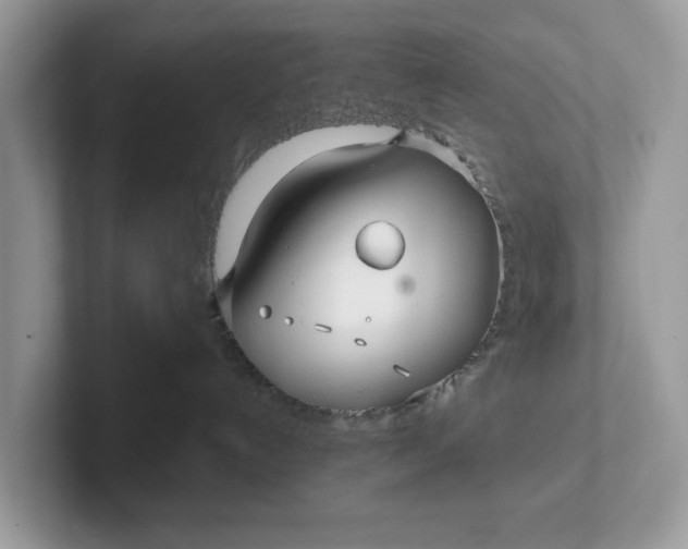 X0000101410192200807211103