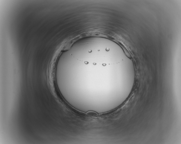 X0000101410193200807211103