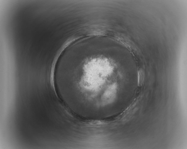 X0000101410195200807211103