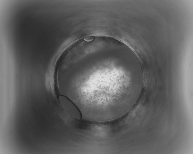 X0000101410199200807211103