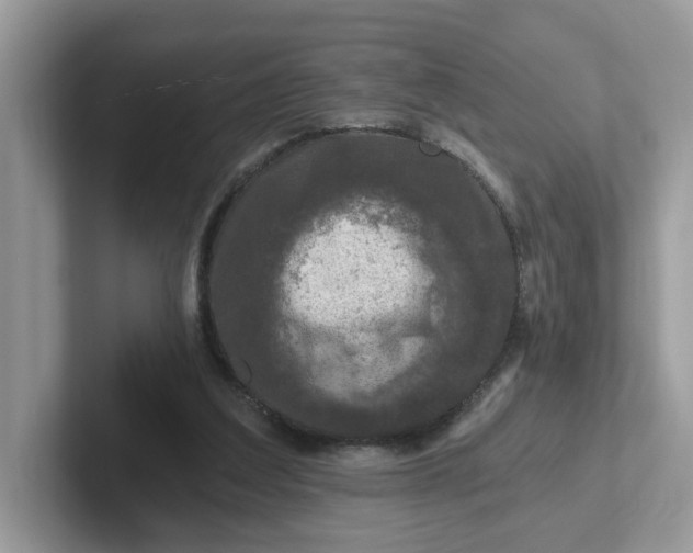 X0000101410203200807211102