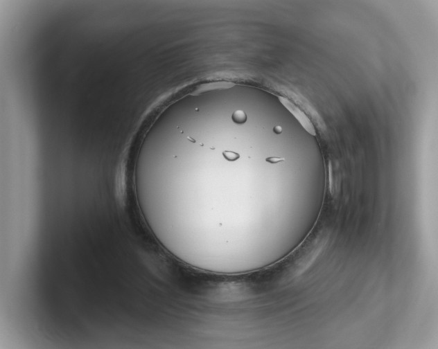 X0000101410204200807211102