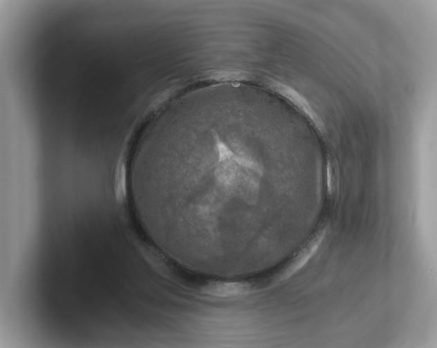 X0000101410205200807211102