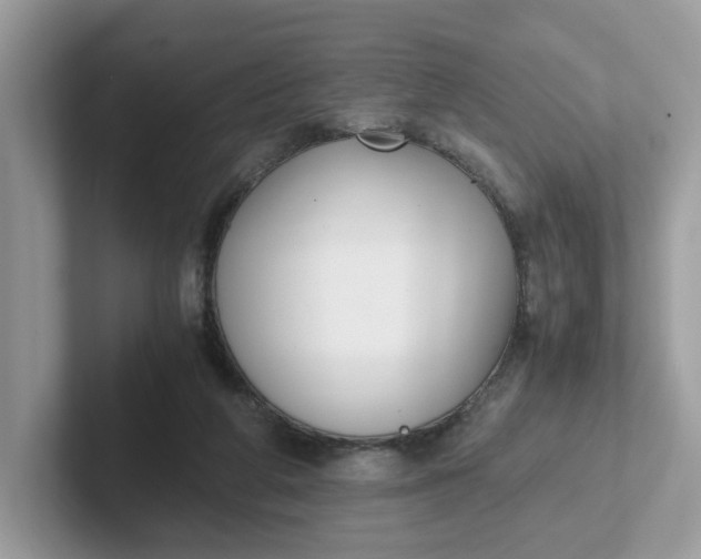 X0000101410210200807211102