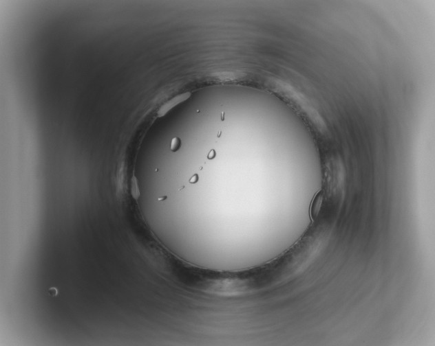 X0000101410212200807211102