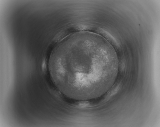 X0000101410214200807211102