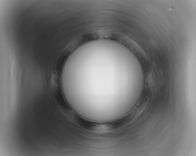 X0000101410218200807211102