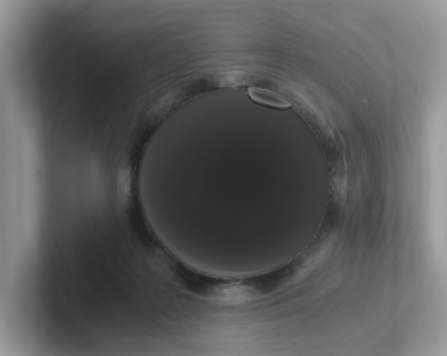 X0000101410219200807211102