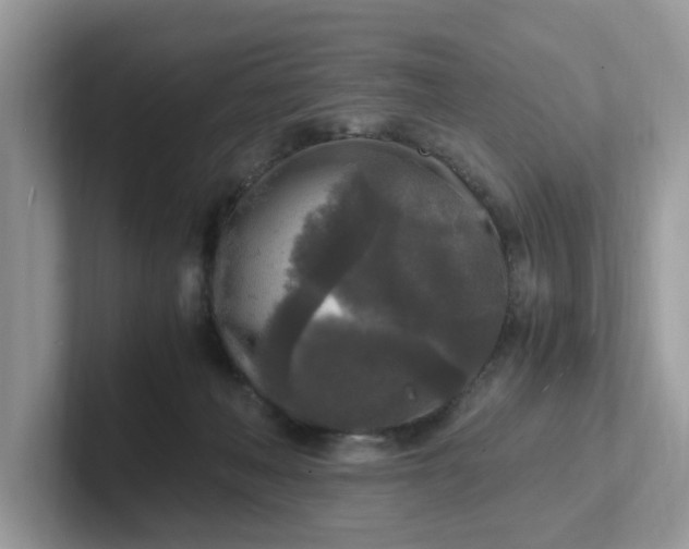 X0000101410222200807211102