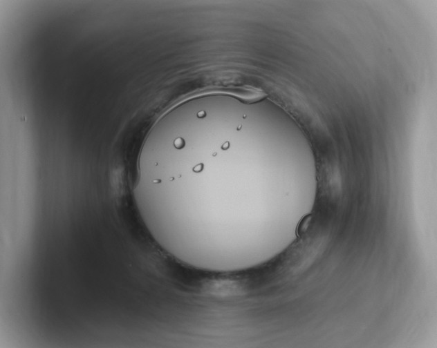 X0000101410224200807211102