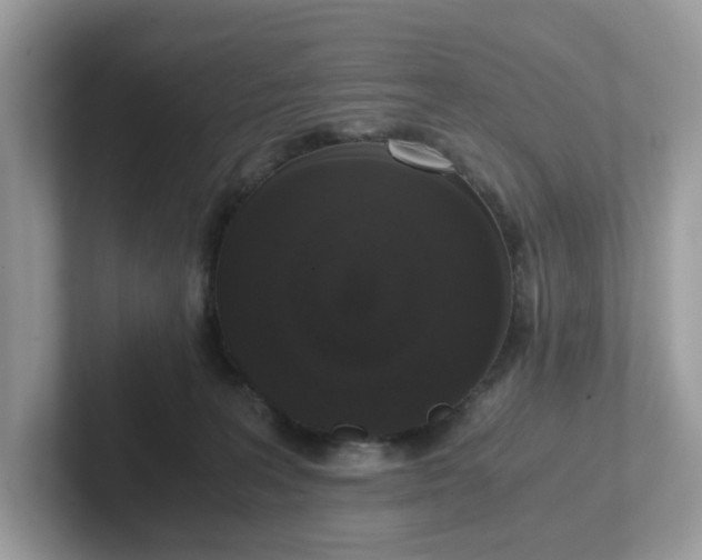 X0000101410227200807211102