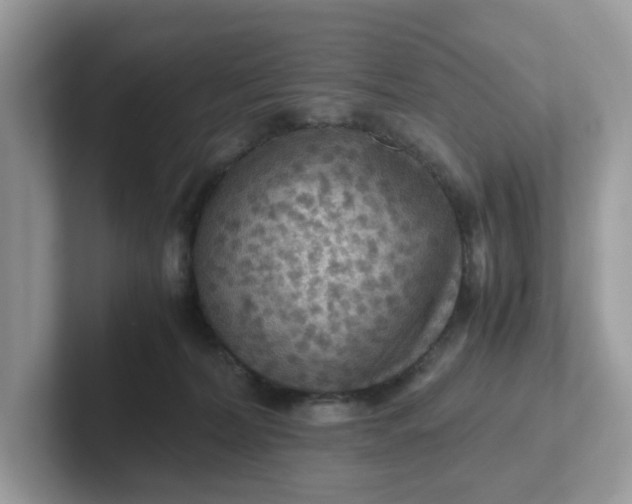 X0000101410228200807211102