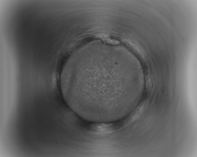 X0000101410229200807211102