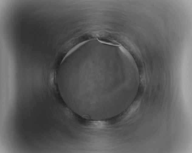 X0000101410233200807211102