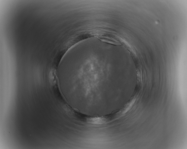 X0000101410237200807211102