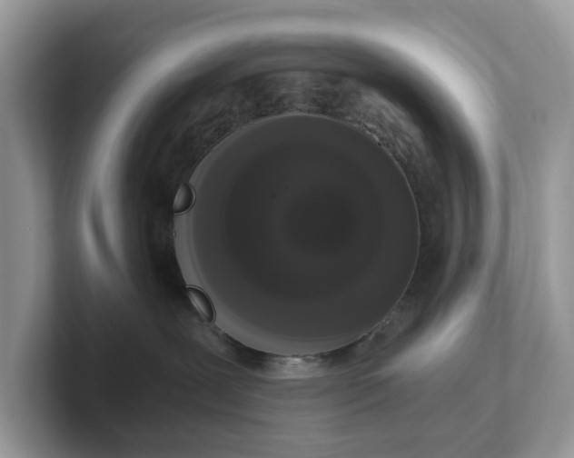 X0000101410239200807211102