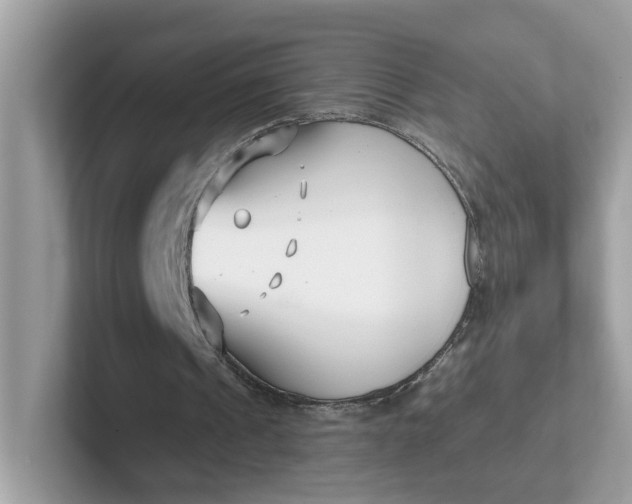 X0000101410241200807211101