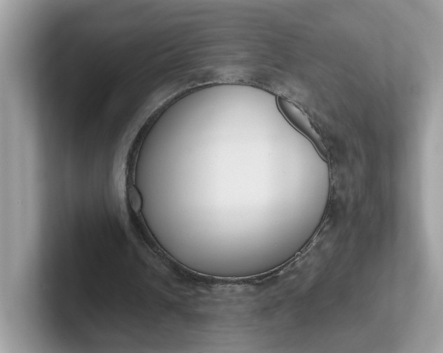 X0000101410242200807211101