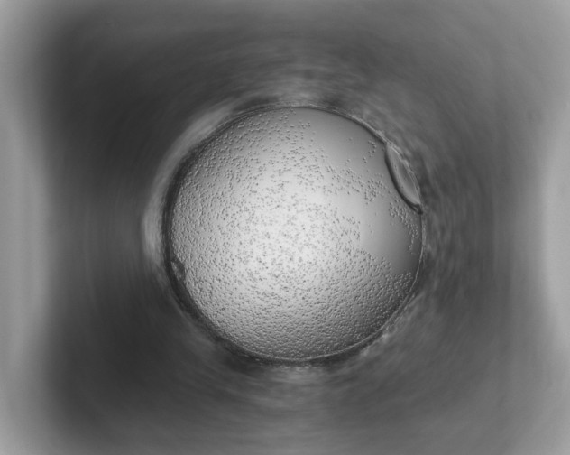 X0000101410245200807211101