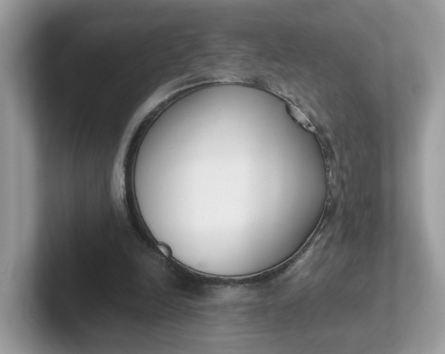 X0000101410246200807211101