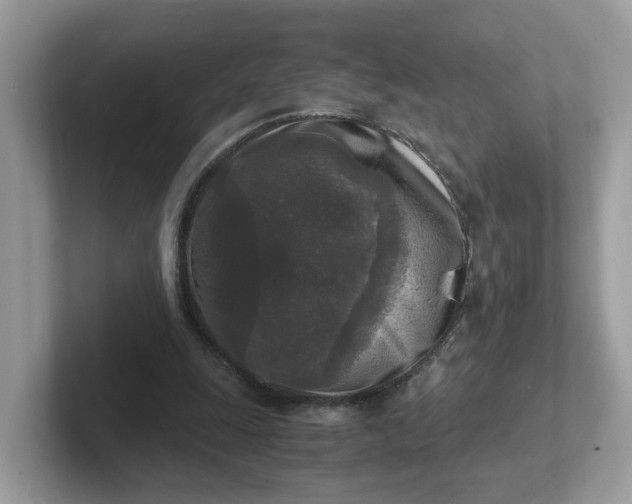 X0000101410247200807211101