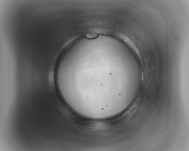 X0000101410249200807211101