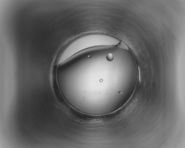 X0000101410252200807211101