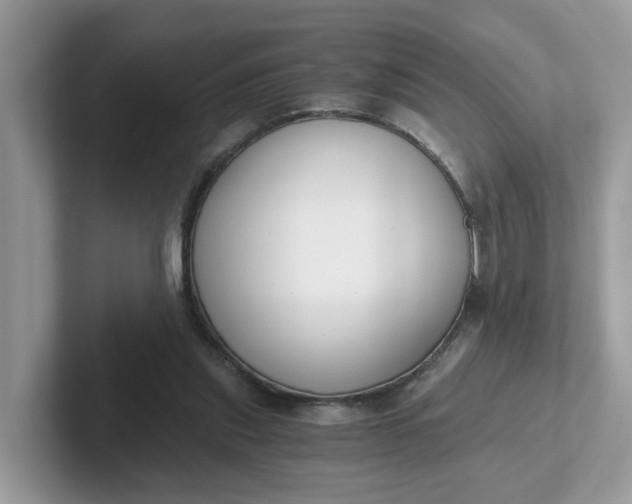 X0000101410253200807211101