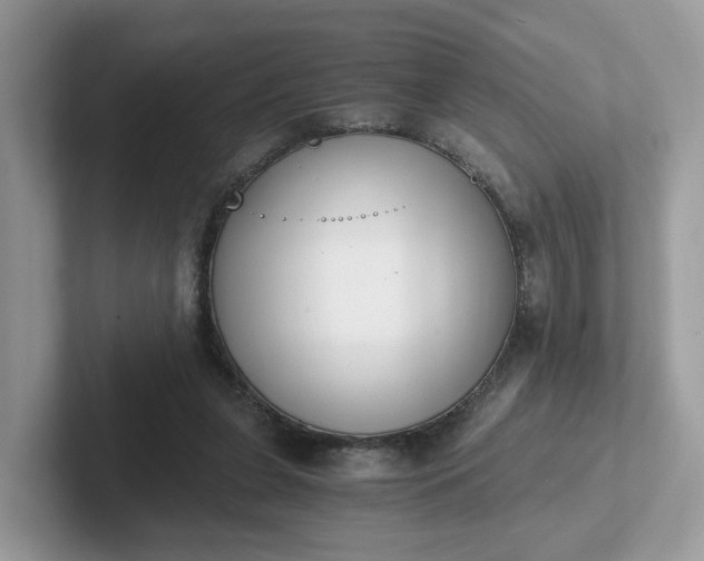 X0000101410255200807211101