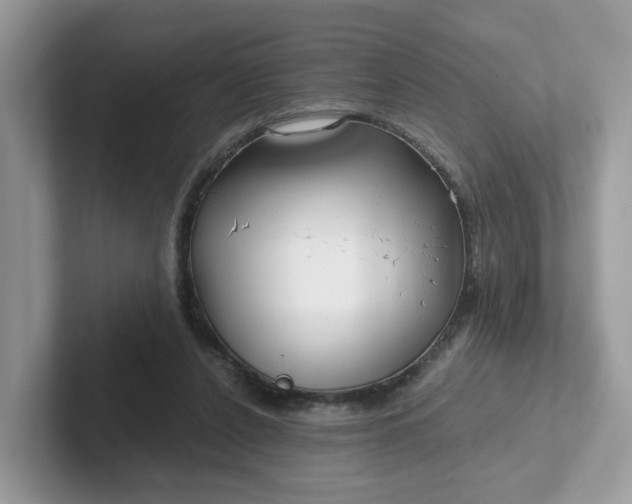 X0000101410256200807211101