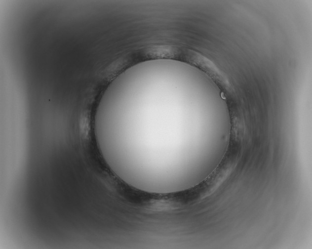 X0000101410259200807211102