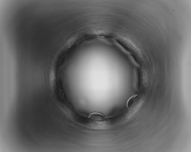 X0000101410260200807211102