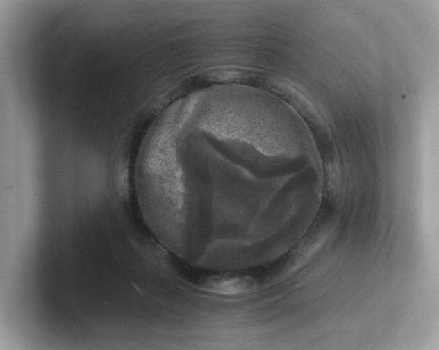 X0000101410267200807211102