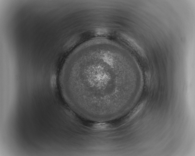 X0000101410269200807211102