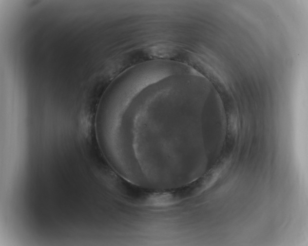 X0000101410271200807211102