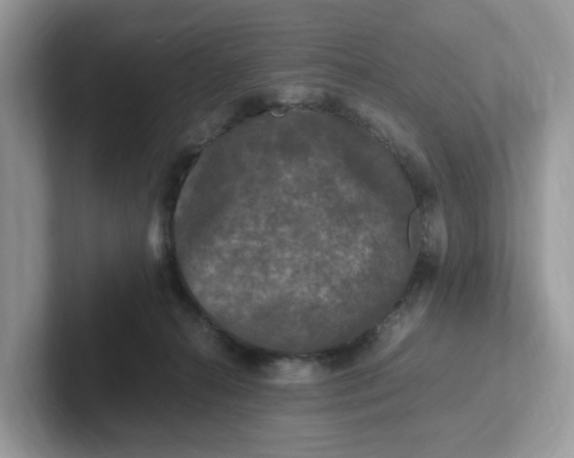 X0000101410272200807211102