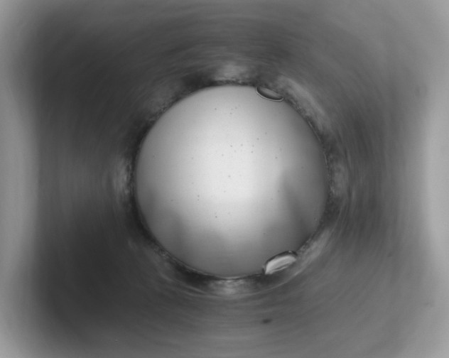 X0000101410273200807211102