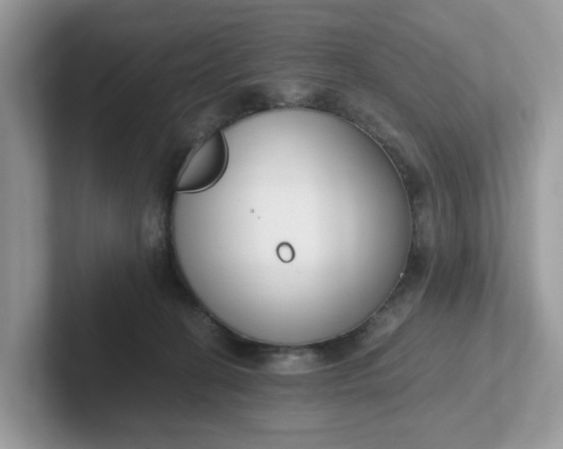 X0000101410274200807211102