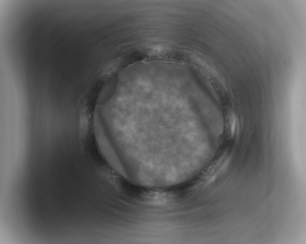 X0000101410276200807211102