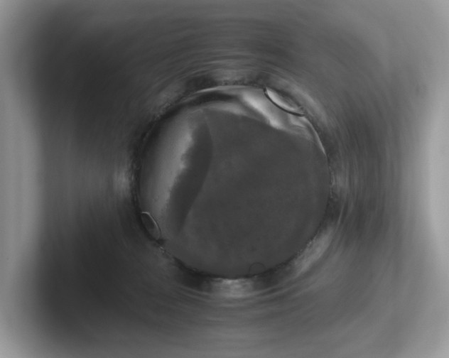 X0000101410277200807211102