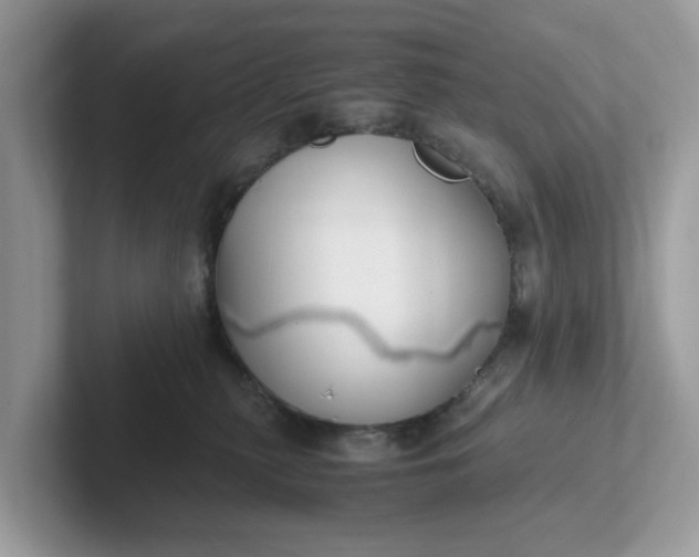 X0000101410279200807211102