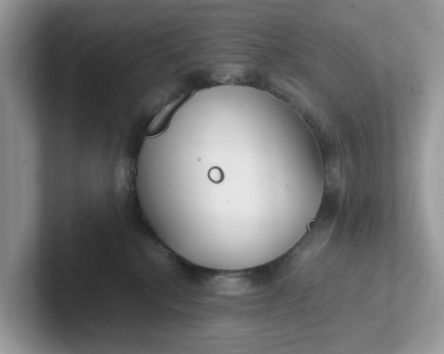 X0000101410280200807211102