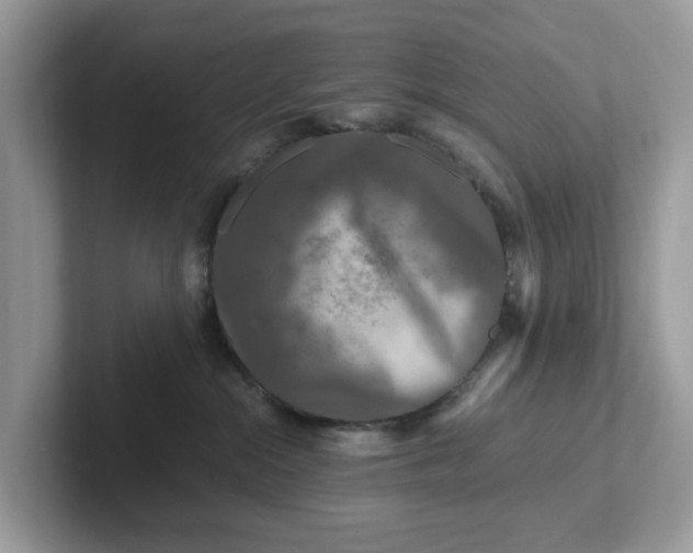 X0000101410284200807211102